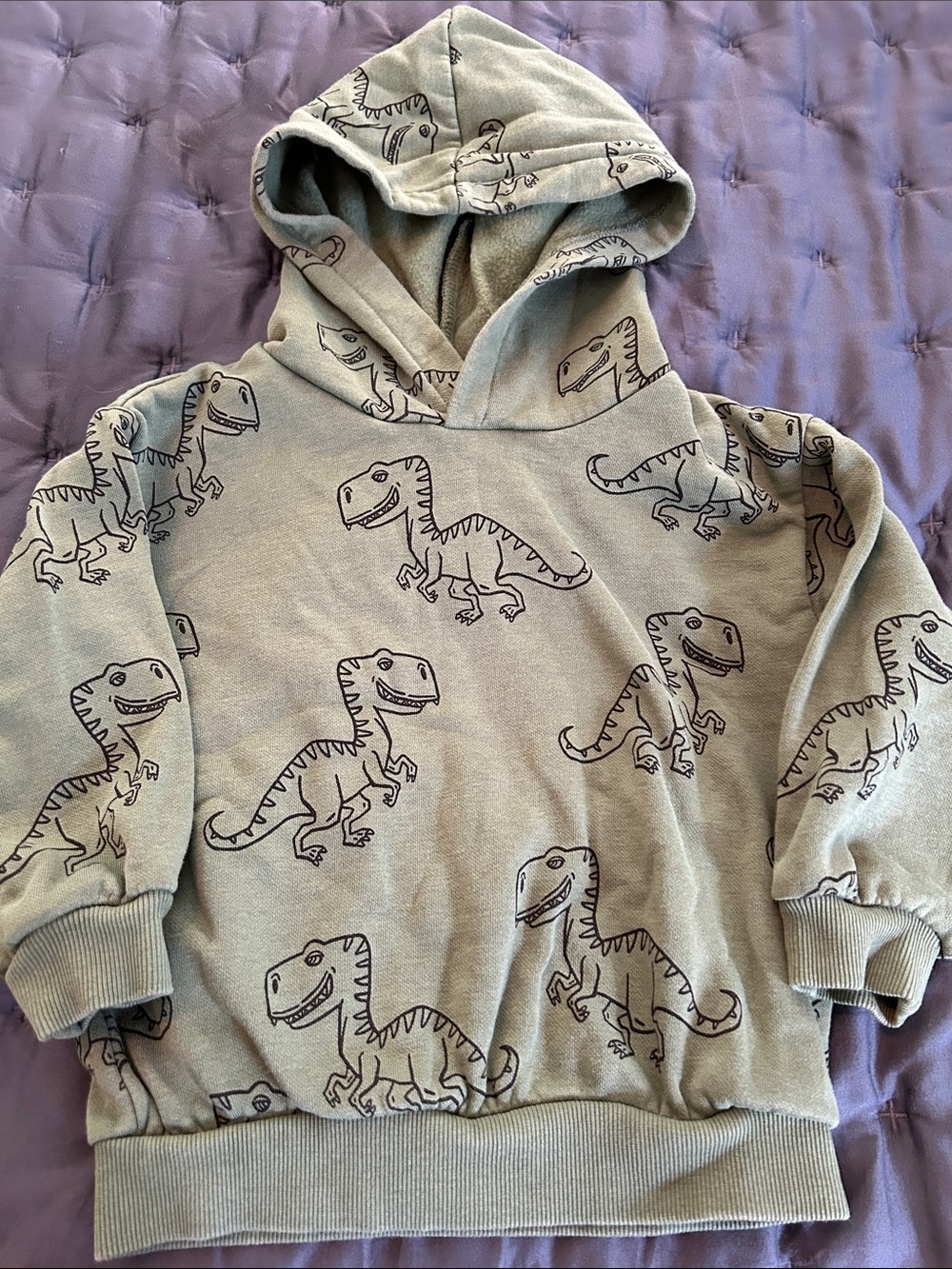H&M Kids Hoodie in Green with Dinosaur Print